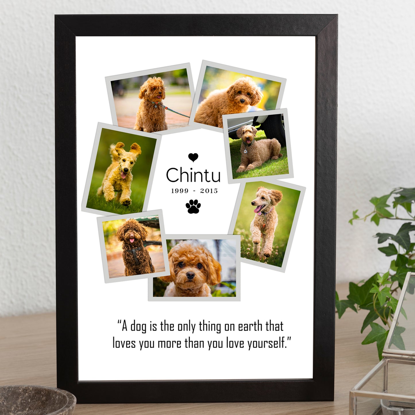 Pet Photo frame